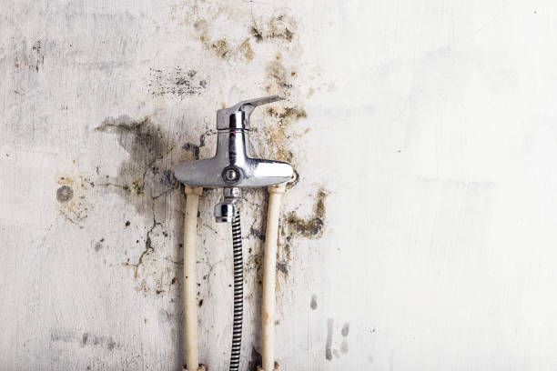  Hazlehurst, GA Mold Removal Pros