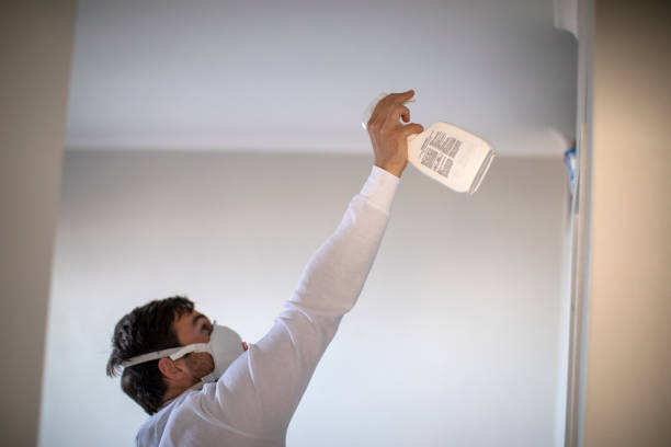 Best Emergency Mold Removal  in Hazlehurst, GA
