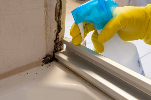 Best Fast Mold Removal  in Hazlehurst, GA