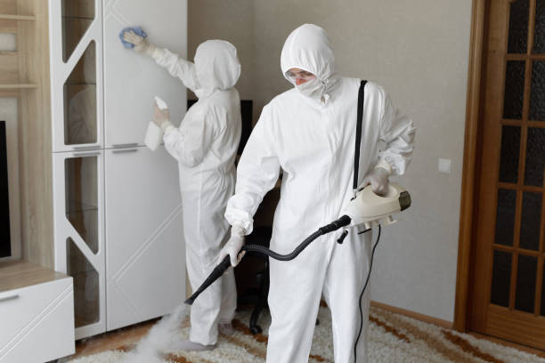 Best Mold Cleaning Services  in Hazlehurst, GA