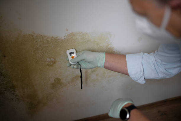 Best Office Mold Removal Services  in Hazlehurst, GA