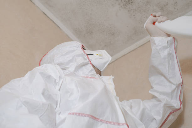 Best Local Mold Removal Service  in Hazlehurst, GA