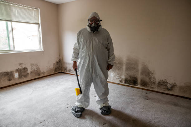 Best Office Mold Removal Services  in Hazlehurst, GA